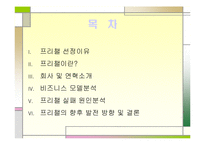 [인터넷 비즈니스 업체 분석] 프리챌의 인터넷 비즈니스 모델과 실패요인-2