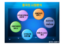[국제마케팅] 엘지싸이언의 중국진출실패사례-5