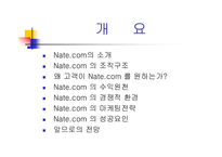 [인터넷비즈니스] 네이트닷컴의 비즈니스모델-2