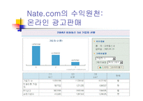 [인터넷비즈니스] 네이트닷컴의 비즈니스모델-13
