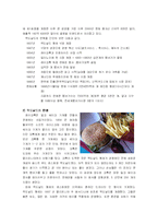 [마케팅] 패스트푸드 맥도날드 앞으로 나아가야 할 방안-3