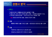 [국제마케팅] 하나코비 락앤락 마케팅전략-15