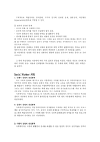 [인간행동과 사회환경] 아동기-8