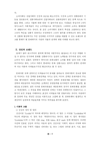 [사회학] 문화의 상품화 브랜드화-7