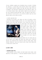 [사회학] 문화의 상품화 브랜드화-13
