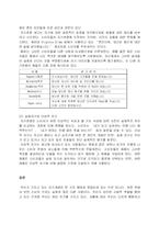 [광고전략]자기개념 분석을 통한 소비자 심리 이해-10