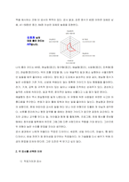 1 실시한 검사명 제시 및 검사에 대한 설명   직업가치관 검사-2