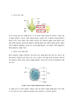 2019  학년도 ( 1 )학기출석수업대체과제물  교과목명  원예작물학-4