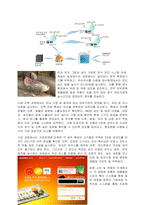 RFID 기술을 활용한 스마트팜 및 유통 과정 차별화 전략 보고서  서론-4