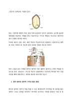 주요 채소의 종자 구조를 비교 설명하고 종자 발아의 생리적 기작과 발아 환경에 대해 설명하라(30점)  서론-2