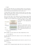 지역사회욕구사정에 대한 매슬로우의 위계이론과 브래드쇼의 사회적 욕구의 개념을 설명하고, 자신이 거주하는 지역의 지역사회의 욕구는 무엇인지 조사, 설명하시오 이어 사회복지사로서 지역사회 욕구에 대한 해결방안-2