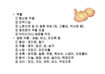[식품영양학]식품의 바른 이해-3