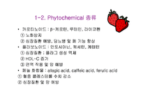 [식품영양학]식품의 바른 이해-4