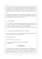 사업계획서 레포트-4