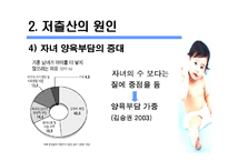 [사회과학]저 출산의 원인과 문제 및 대책-13