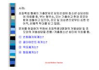 [사회복지]사회복지 발달과정-13