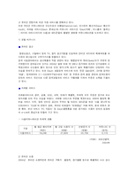 [마케팅]㈜다음커뮤니케이션에 대해서-13