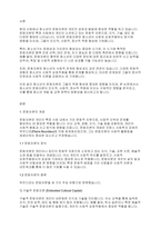 청소년문화] 청소년의 문화자본이 역량 형성에 어떠한 영향을 끼칠 수 있는지에 대하여 논하시오-2