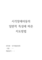 언어발달장애과제/장애영유아보육교사자격증취득/레포트제출/시각장애아동-1