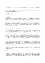 [브랜드비교]블로그와 싸이월드의 비교 분석-2