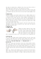[체육 배드민턴]배드민턴-3
