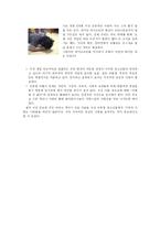 [사회복지, 정신분석]은둔형외톨이-히키코모리-4