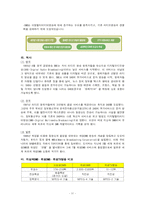 IT839 - 21c 경제발전 핵심프로젝트-13