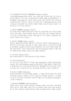 대체보완요법의 종류-10