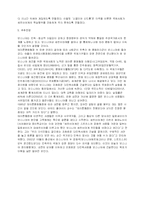 데이튼 평화 협정과 보스니아 내전-8