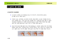[가정교육]식생활문화발표(한.일.중음식)-19