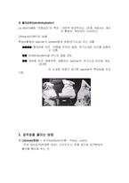 [공격성]심리분석-<인간의 공격성>-12