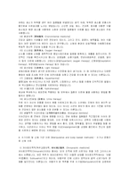 보완대체의학의 종류-7