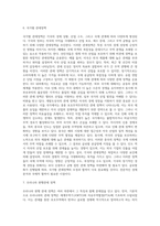 (관세론)우리나라 관세정책의 문제점을 즉시하고 그 전망에 대하여-6