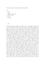 비교광고(comparative advertising)를 대상으로 광고사례분석-1