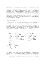 임경업, 그는 누구인가 ?≪ 문학적, 시대적 분석 ≫-7