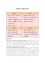 CGV의 SWOT 분석 레포트-1