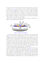 [산업공동화]산업공동화의 발생원인과 영향 그리고 대응방안-13