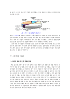 [산업공동화]산업공동화의 발생원인과 영향 그리고 대응방안-14
