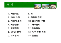 [마케팅]사업계획서-2