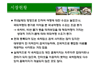 [마케팅]사업계획서-6
