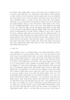 국내의 도시내 재해 실태 및 대응 문제점 진단-4