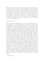 국내의 도시내 재해 실태 및 대응 문제점 진단-5