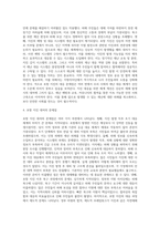 국내의 도시내 재해 실태 및 대응 문제점 진단-7