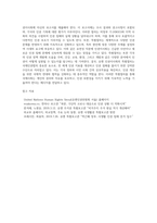 (국제인권법) 유엔의 인권보장 체계 중, 인권이사회가 주도하는 ‘특별절차’ 전반에 대해 설명하라 (6)-4