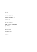PPL (간접광고) 정의와 효과연구 / PPL 성공사례,실패사례분석 / PPL의 한계점과 결론 및 느낀점-2