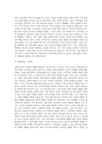 TV광고 또는 인쇄광고들 중에서 1개의 광고를 선정하고, 그 광고의 STP(세분화 기준, 표적시장 선정, 포지셔닝전략) 전략을 상세히 기술하시오-6
