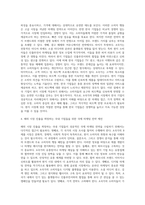A국가의 B제품 시장에서 주요 기업들의 마케팅 분석과 한국기업을 위한 국제마케팅 시사점 도출-4