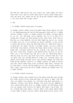 S(시장 세분화)-T(목표시장 선정)-P(포지셔닝) 전략에 따라 성공한 실제의 마케팅 사례를 제시하시오 (4)-2