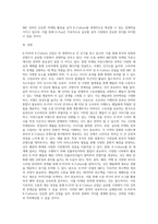 K-POP 등 K-Culture 산업의 IMC전략 제안서 작성 (3)-4