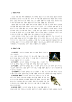 [일본 문화]일본의 스포츠-6